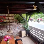Rote Ente * Mürlenbach