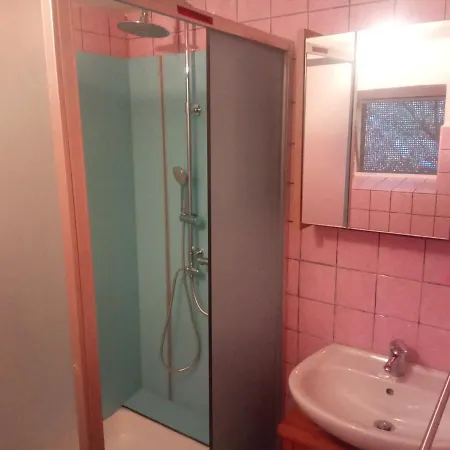 Rote Ente Mürlenbach