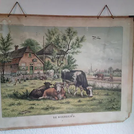 Vakantieboerderij Rote Ente Mürlenbach