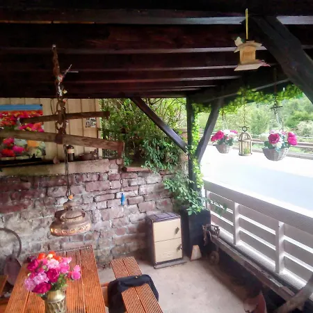 Rote Ente * Mürlenbach