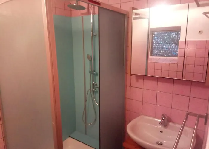 Rote Ente Mürlenbach