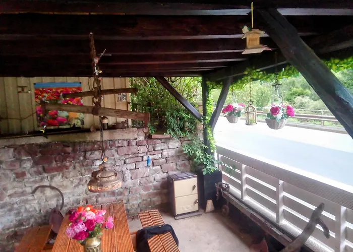 Rote Ente * Mürlenbach